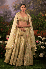 Pariza Lehenga