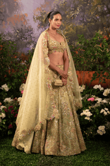 Pariza Lehenga