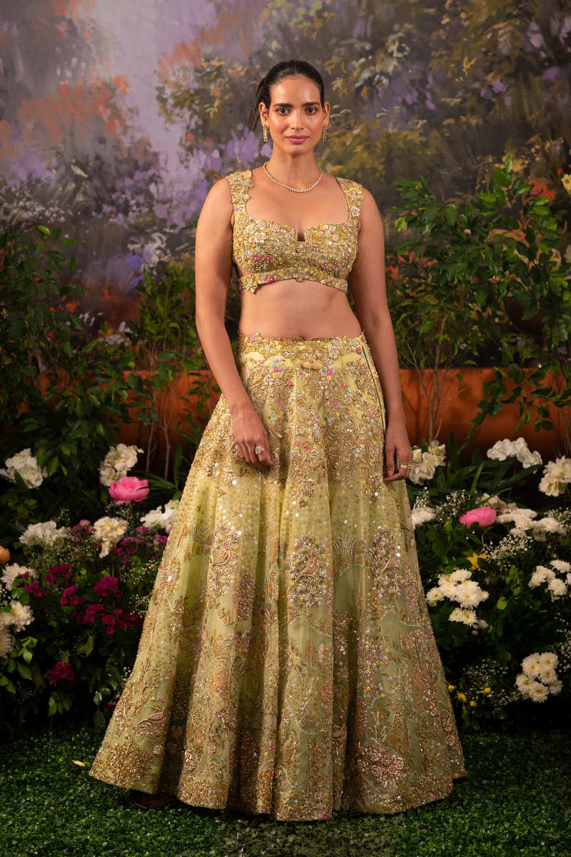 Pariza Lehenga