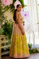 shahpur-jat-designer-lehengas